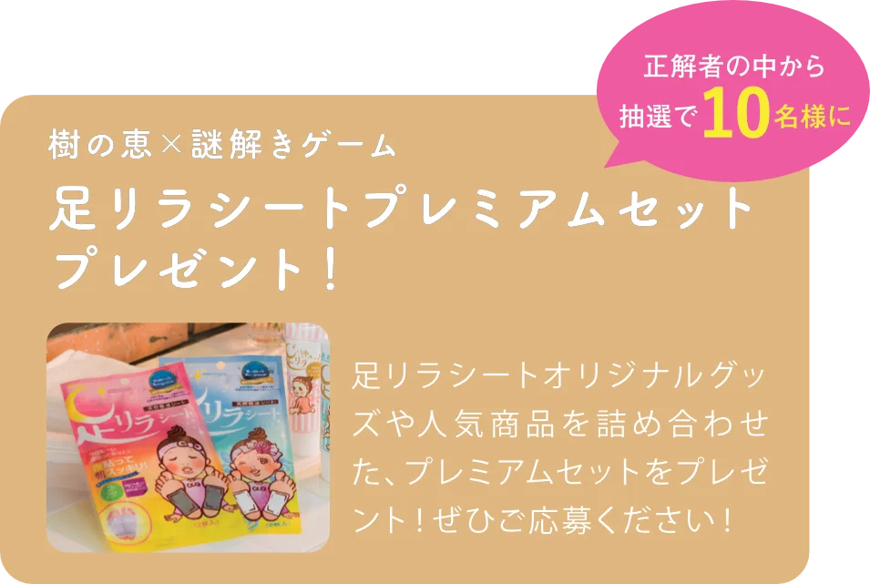 足リラシートの謎を解きプレゼント